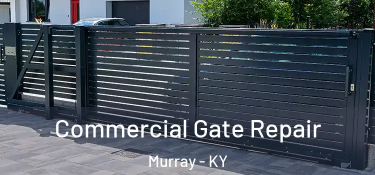 Commercial Gate Repair Murray - KY