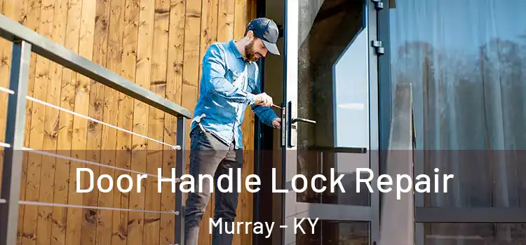 Door Handle Lock Repair Murray - KY
