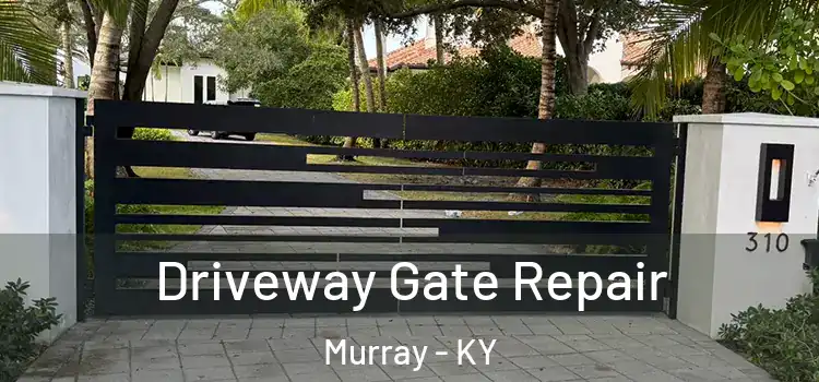 Driveway Gate Repair Murray - KY
