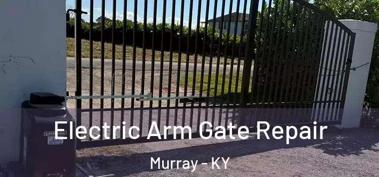 Electric Arm Gate Repair Murray - KY