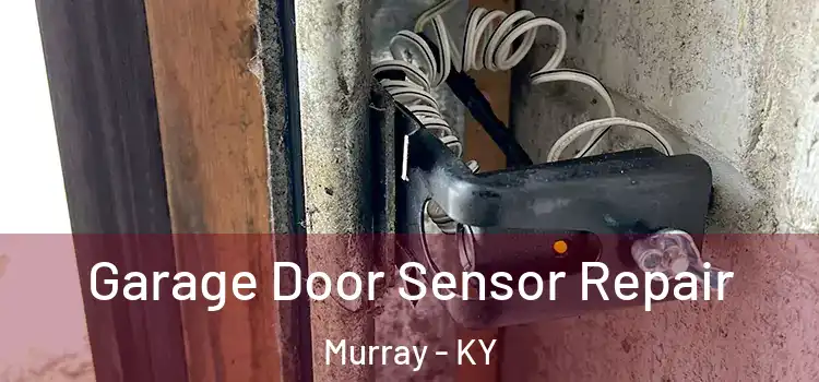 Garage Door Sensor Repair Murray - KY