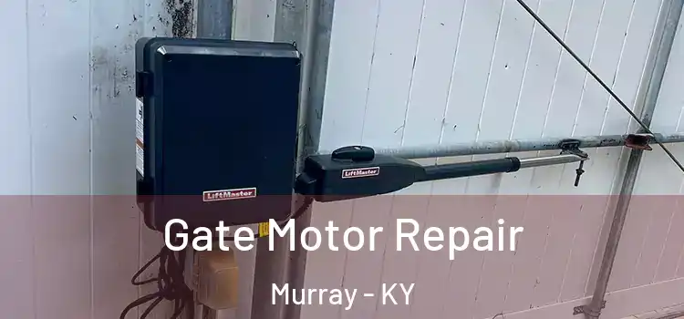 Gate Motor Repair Murray - KY